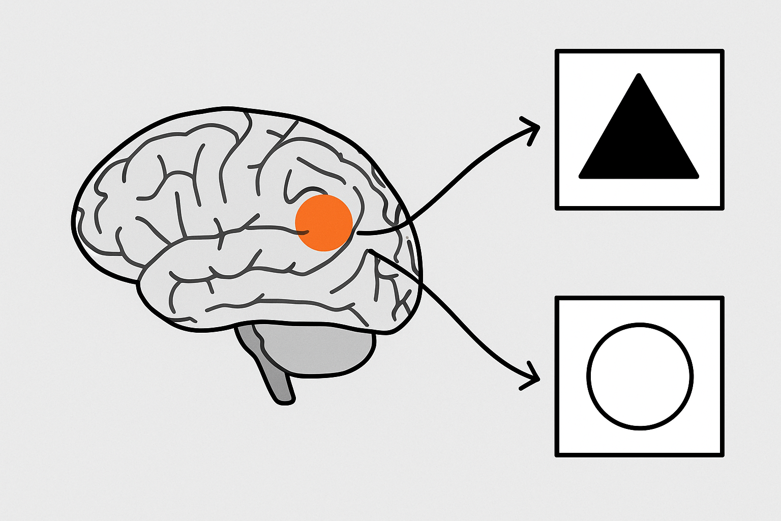 Task visual (Learn deck extract)